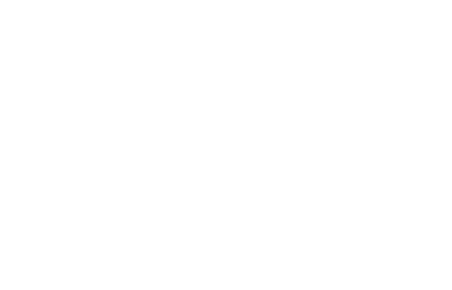 Botomático